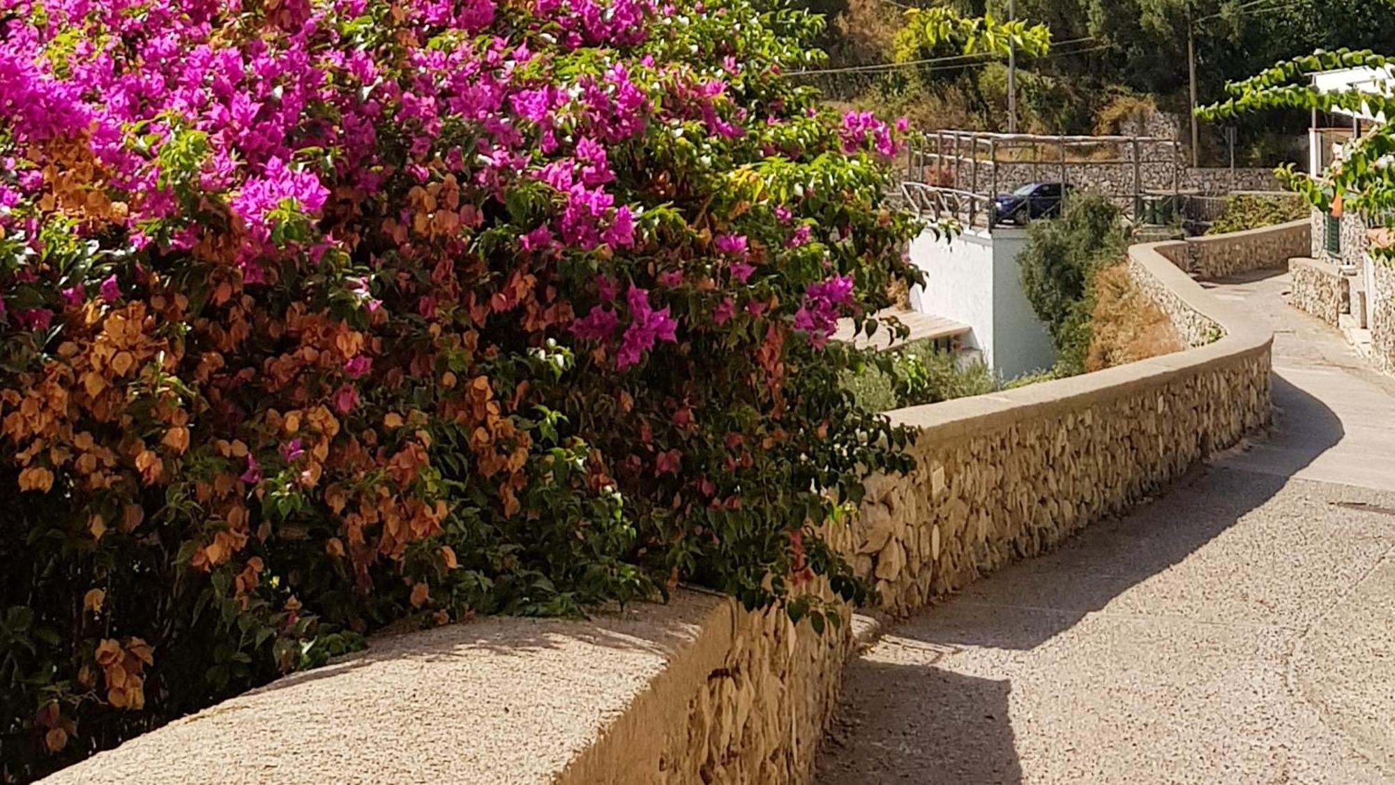 Al Poggio Antico Aparthotel Amalfi Exterior photo