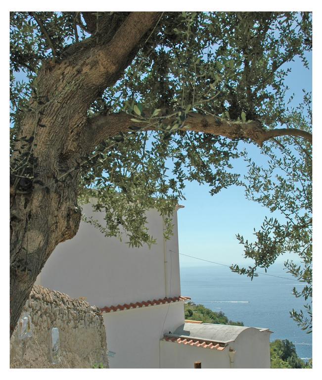 Al Poggio Antico Aparthotel Amalfi Exterior photo